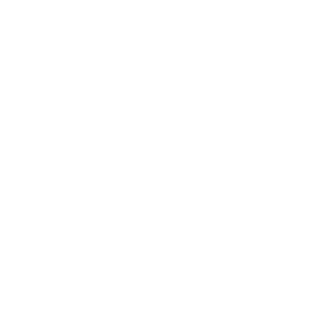 SEVE